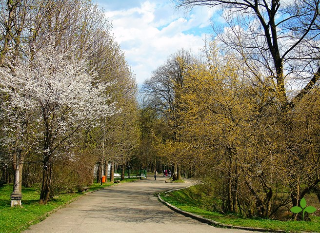 Парк Трускавца